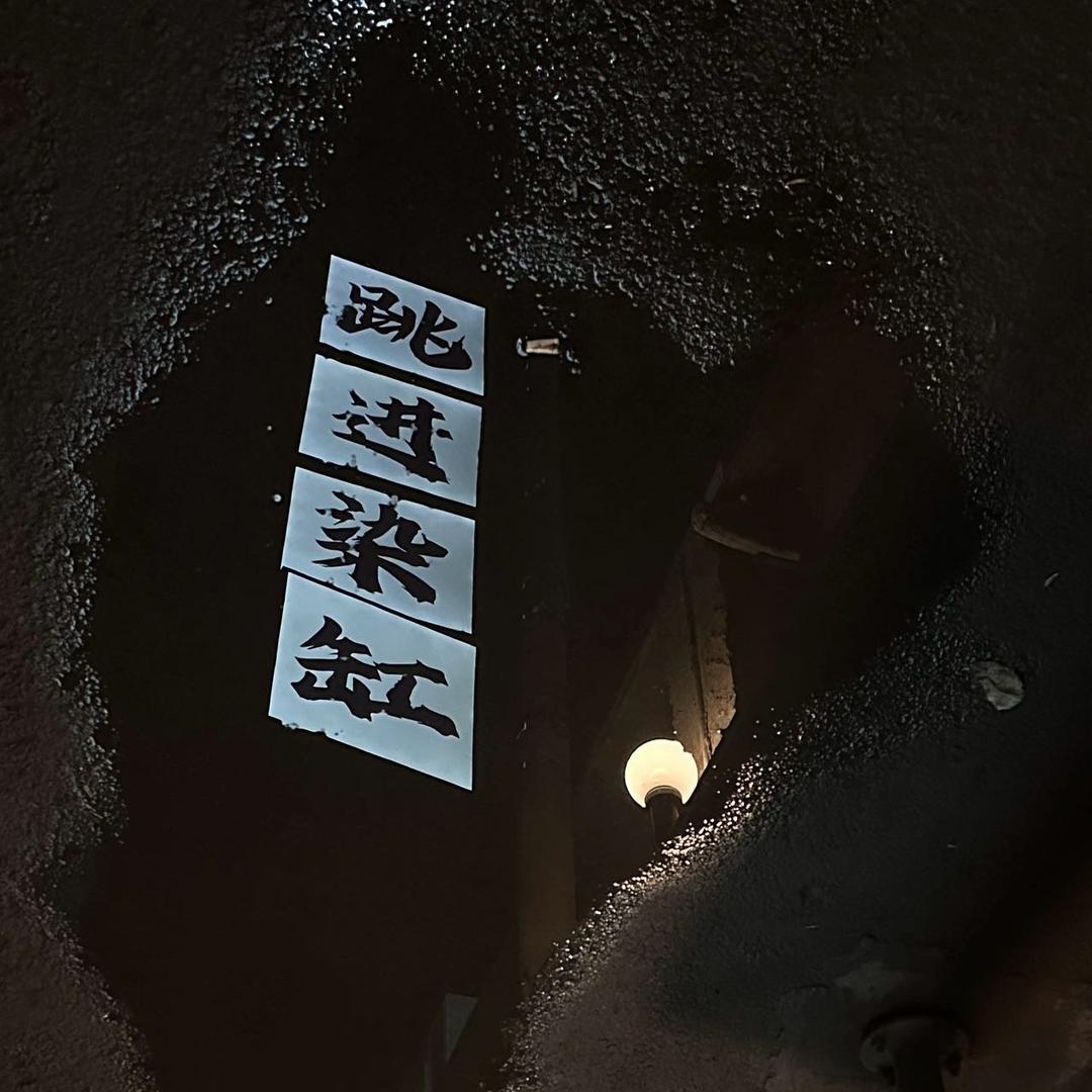 跳进染缸