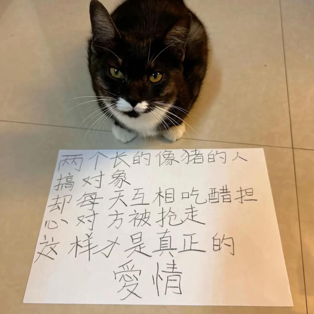 无hua可说