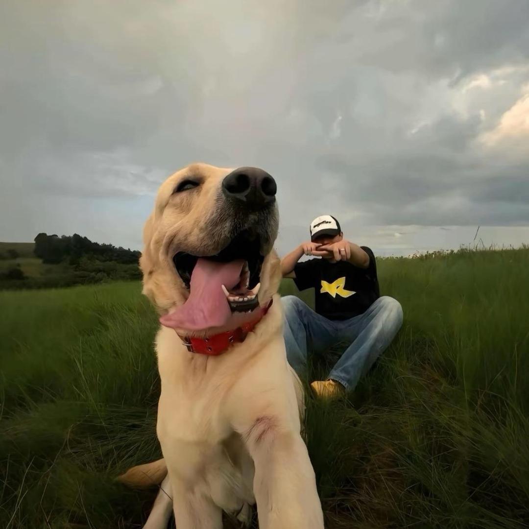 ㅤㅤㅤㅤㅤXiaowei