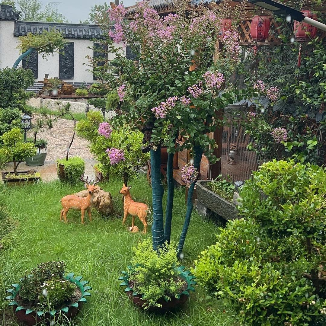 葛家小院