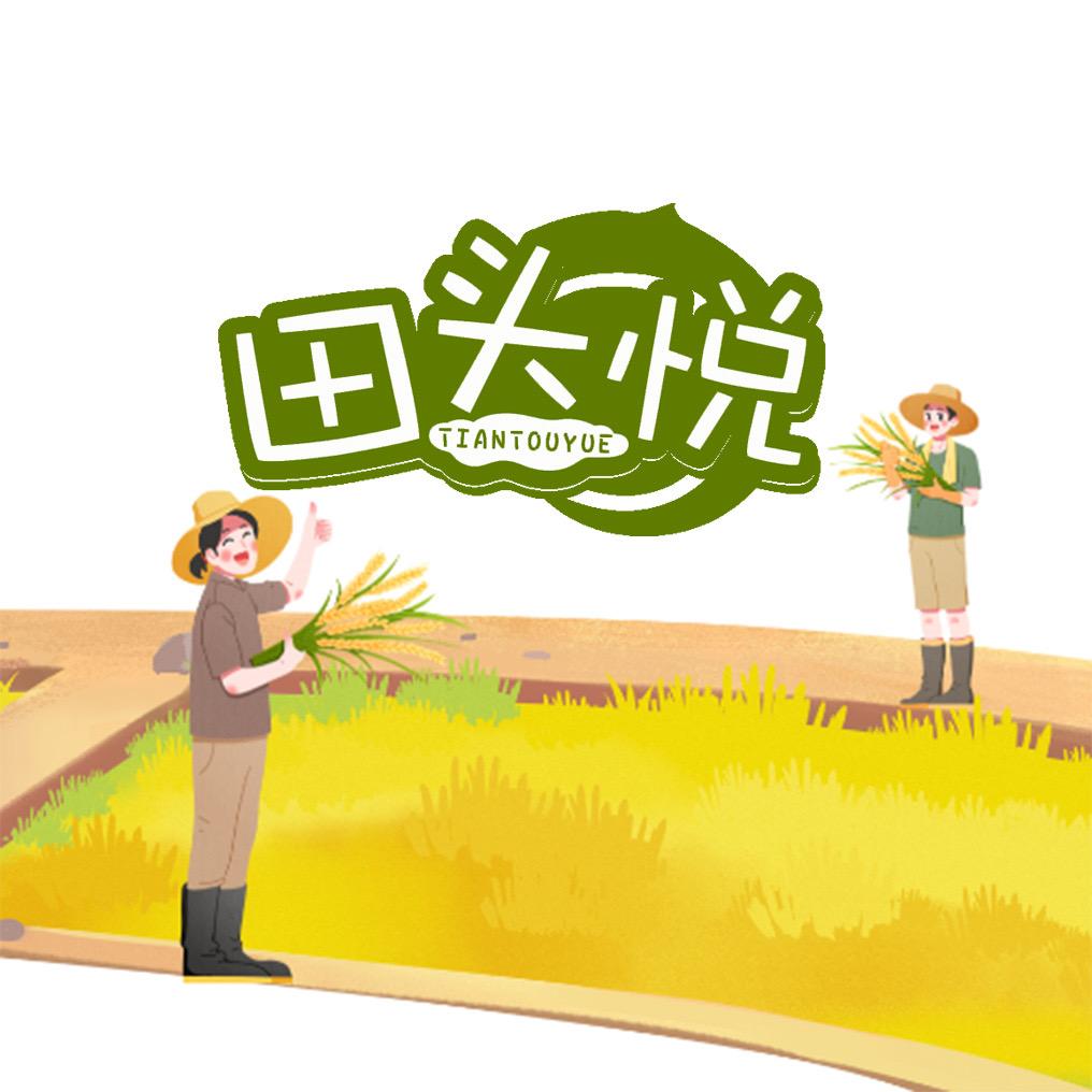 390114810浮德义
