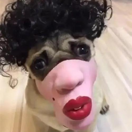 靓仔（有低保）