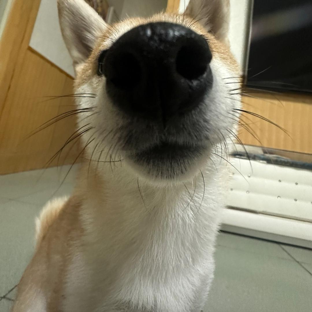 银河邮递员