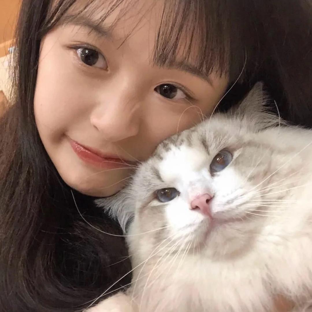 呆呆毛
