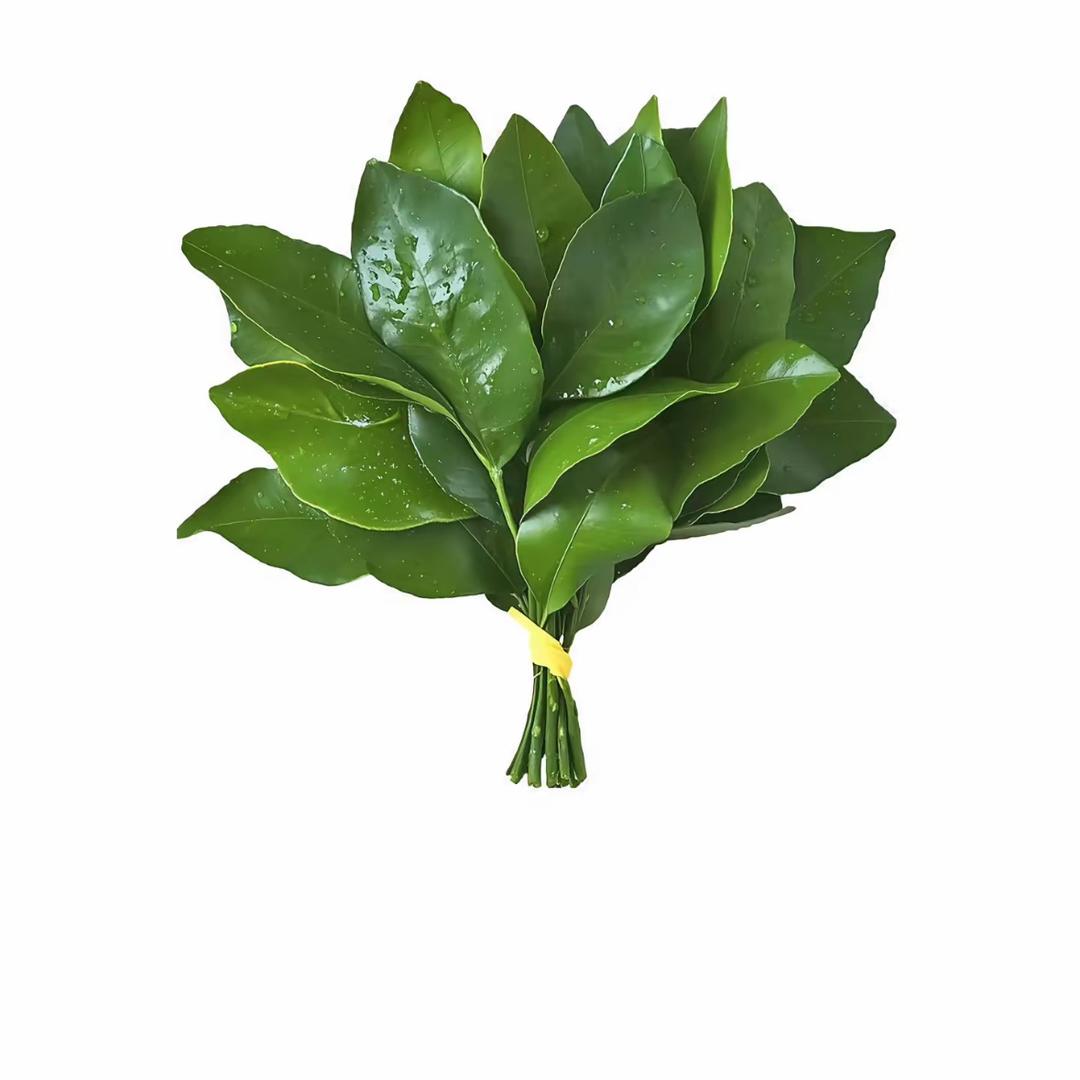 贝贝贝贝贝贝贝贝贝贝贝贝