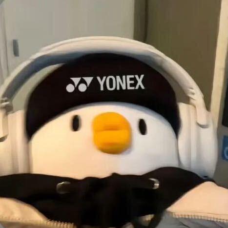 青鸟不会杀球🏸