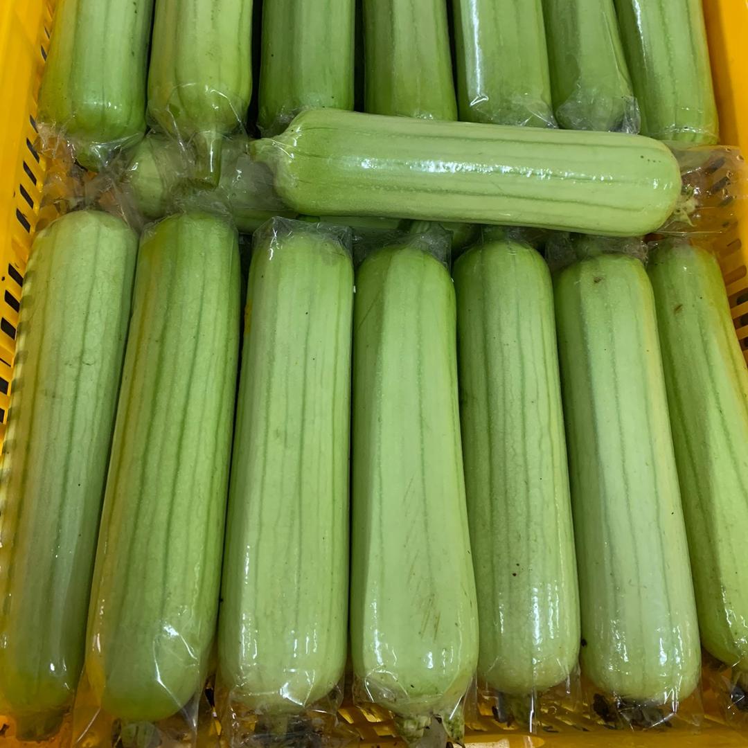 长沙海吉星蔬菜批发（花）
