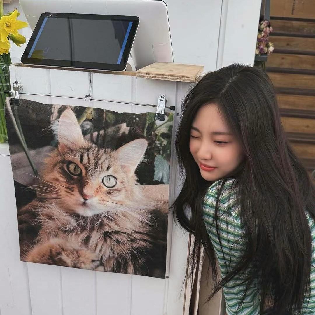 小猫宁瓶盖.🐱