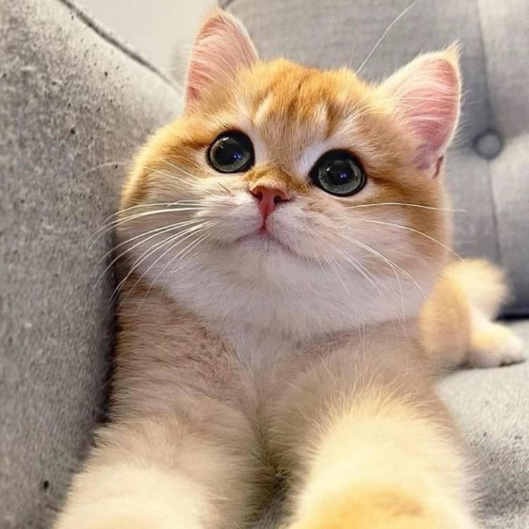 都会过去，快点吧