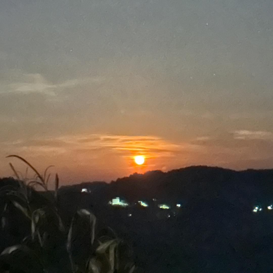 傢有萌宠