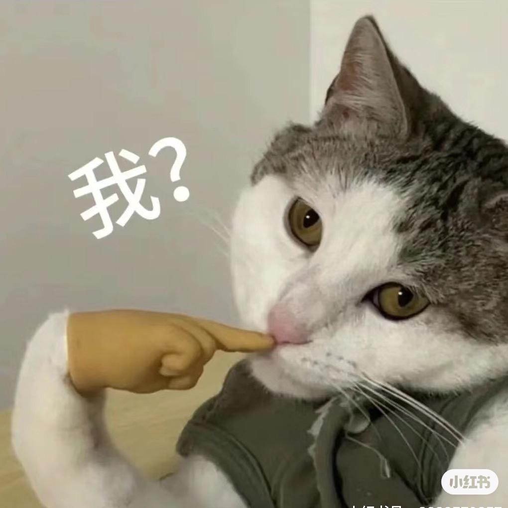 狂徒3号