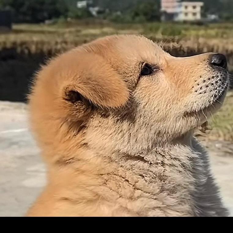 AAA建材市场王总..