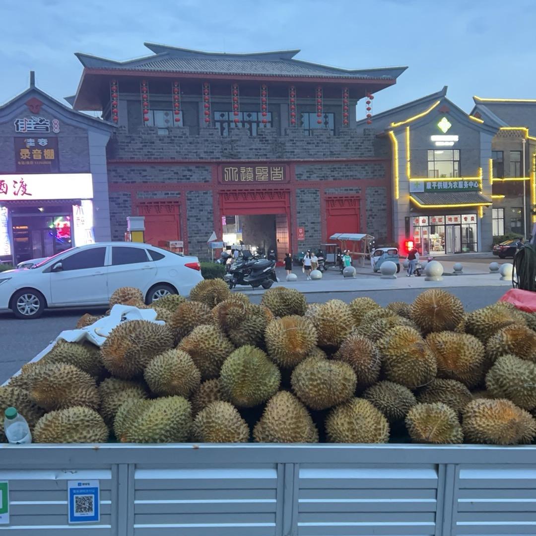 望奎引流车