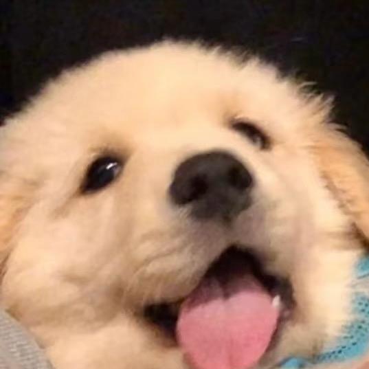 什么李李？