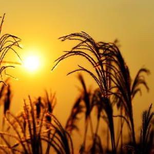 大连宽带华北路营业厅&秋阳