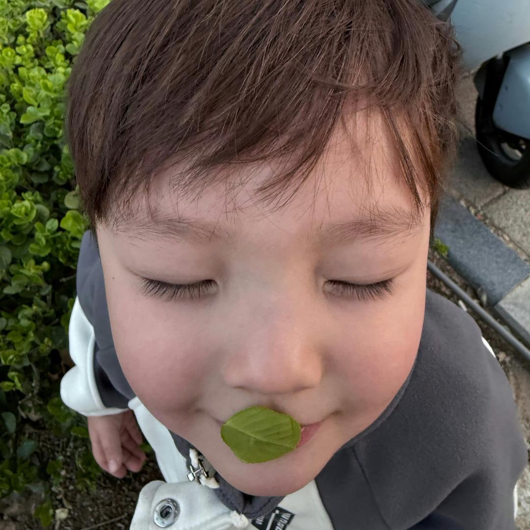下辈子不要再当人累了