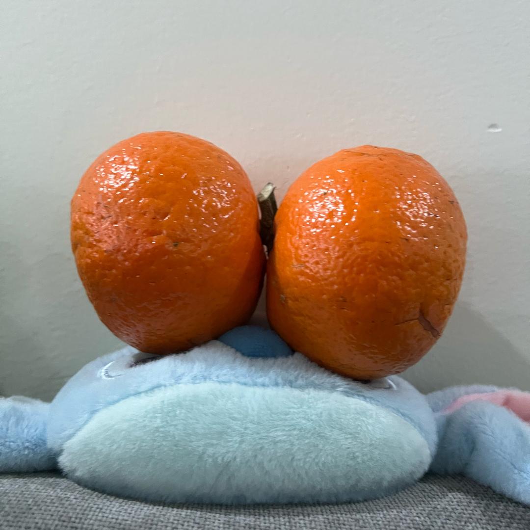 沃柑大帅