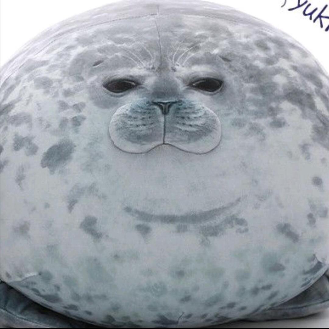 粥情情