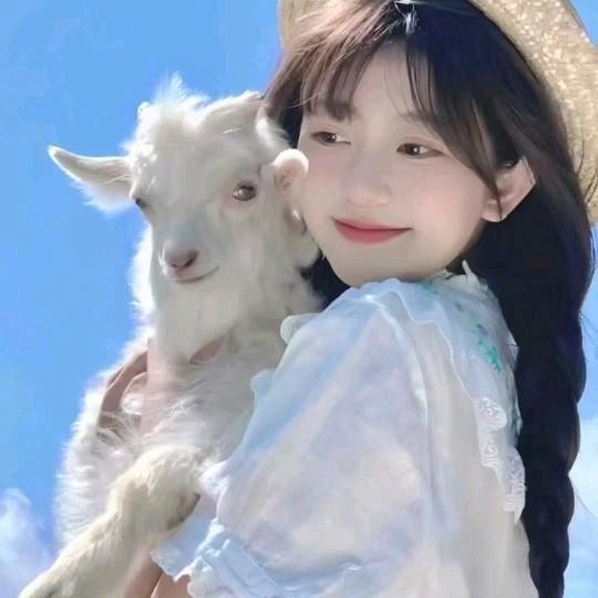 点点.
