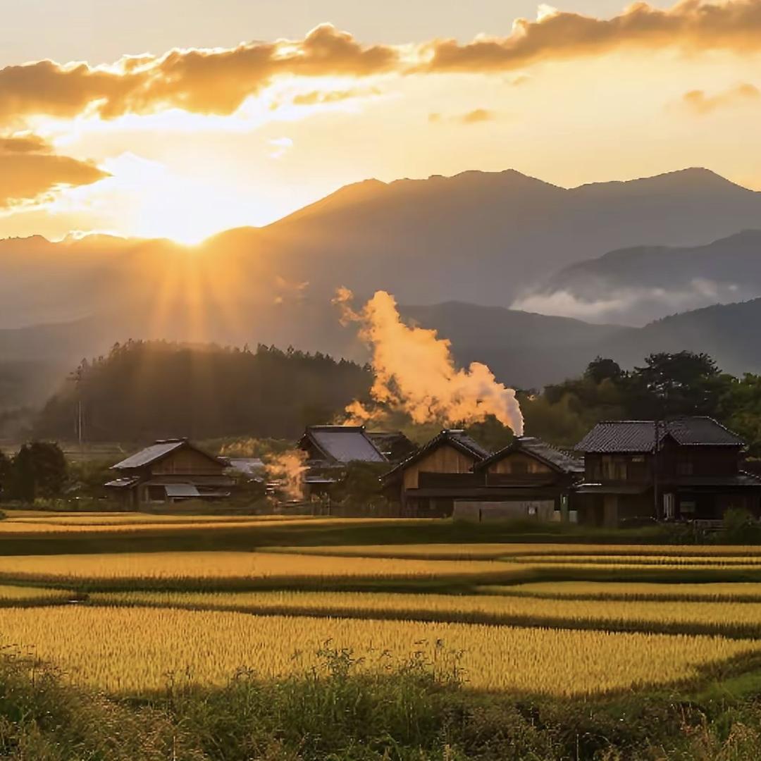 辉哥家乡土特产