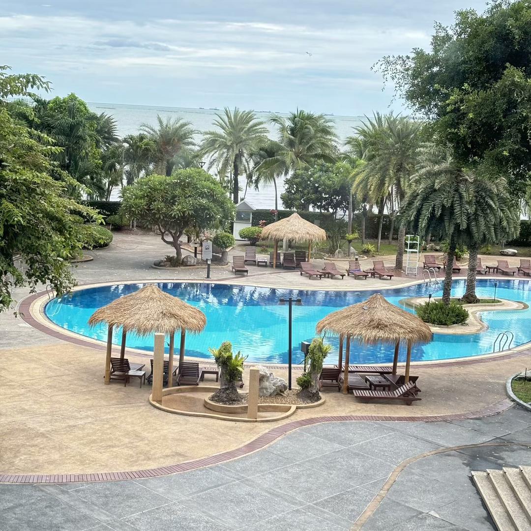 山茶花开在年糕里