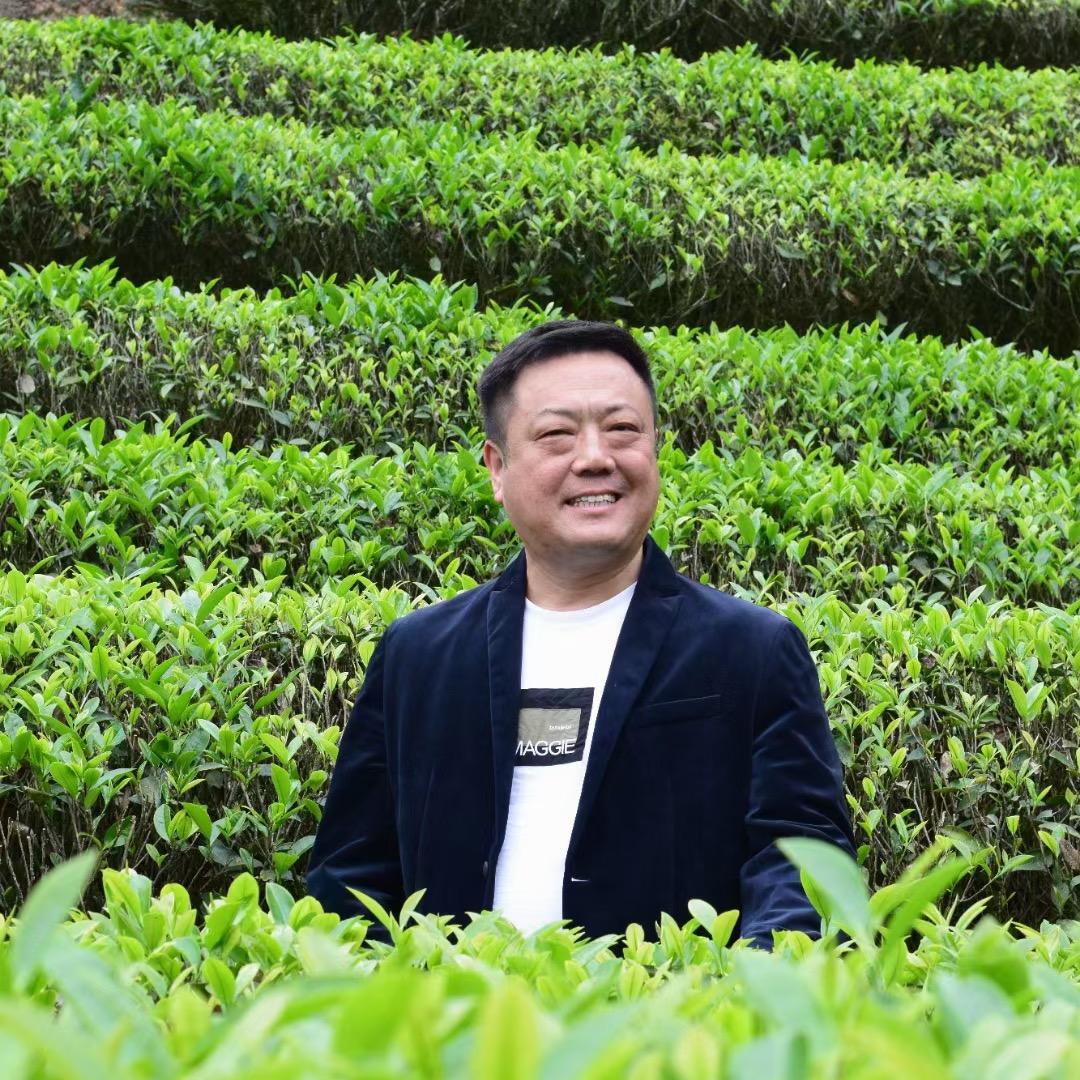 武夷山喊春茶业