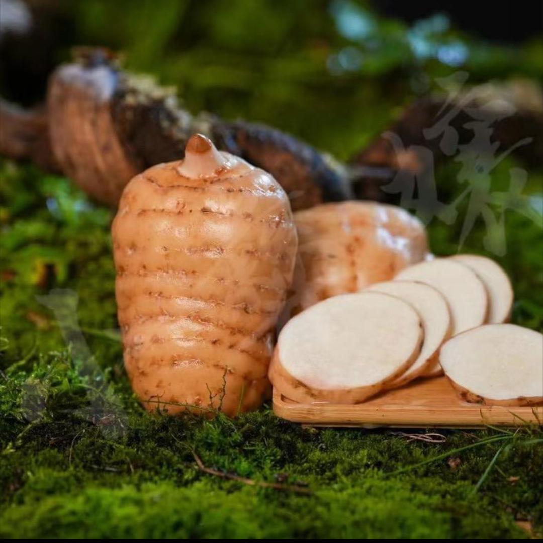 小草坝有机天麻