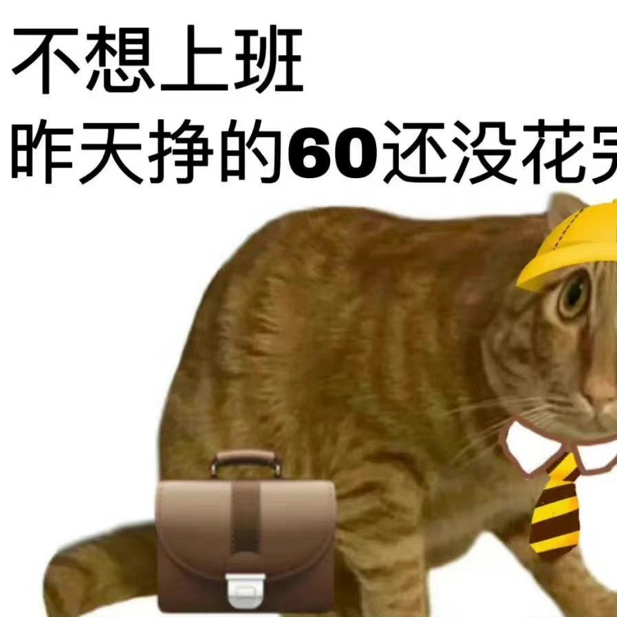 小飞侠66