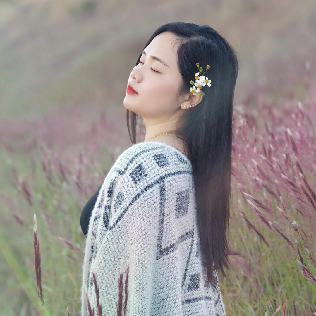 一帘幽梦