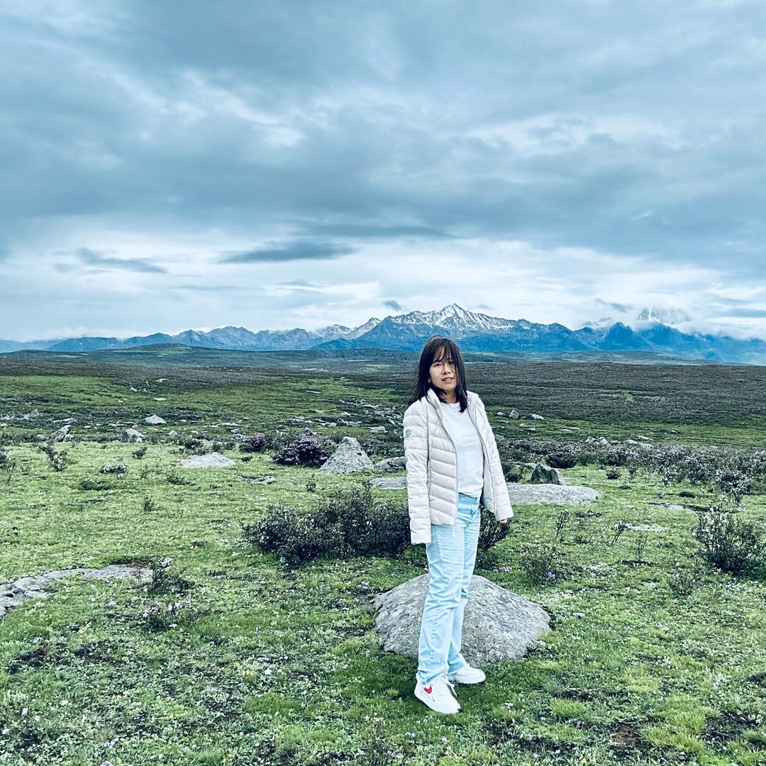 潇洒百变猪刚鬣