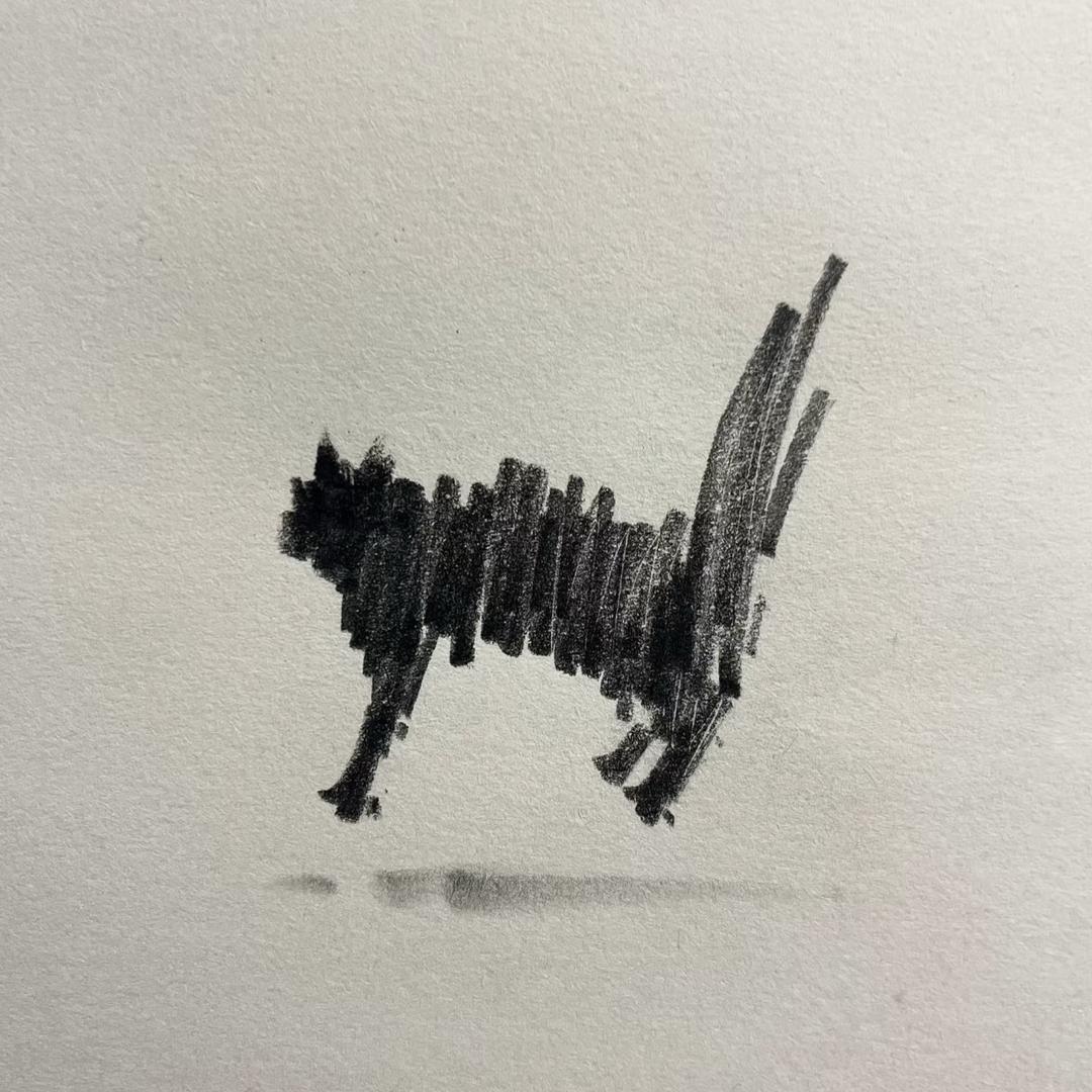 寨子里的猫