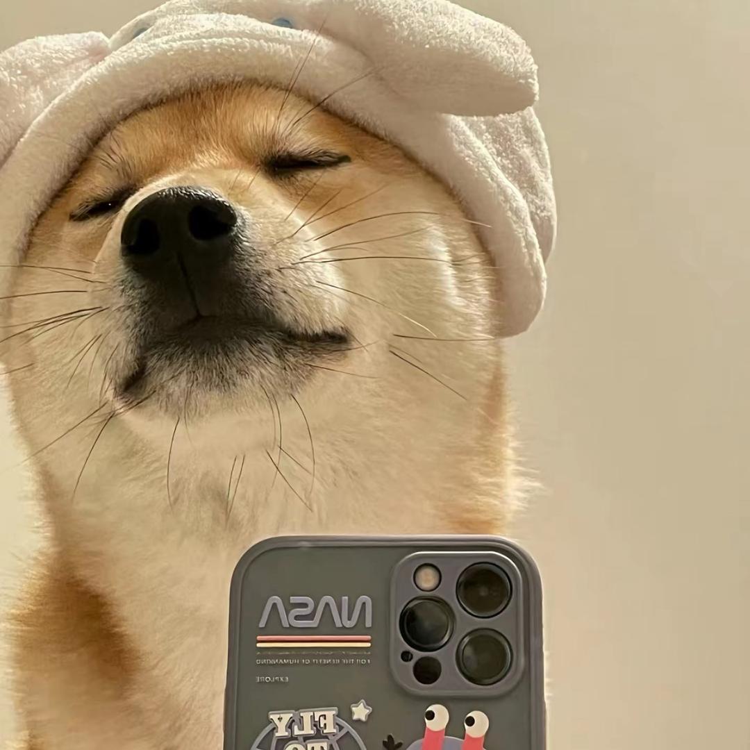 香蕉不呐呐