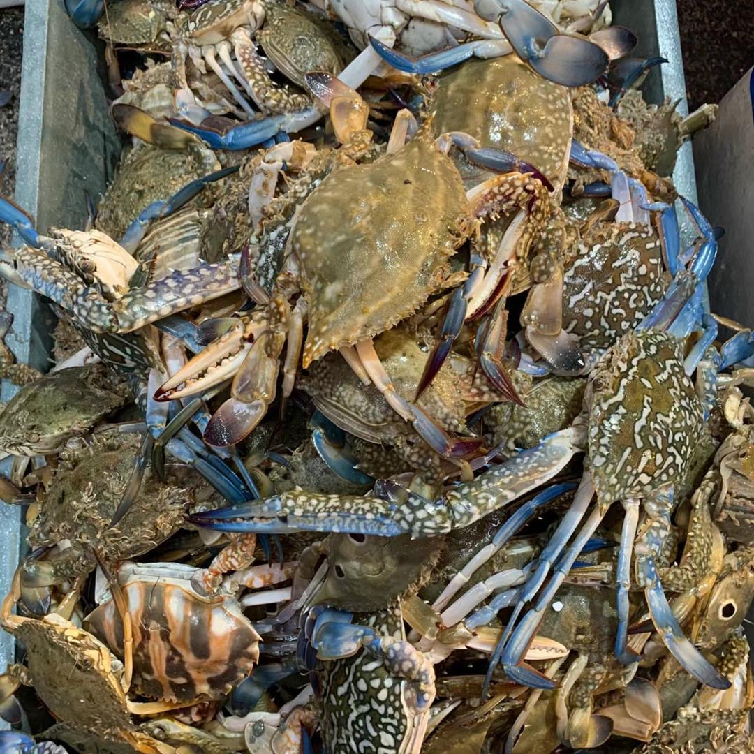 阿伟海鲜批发零售