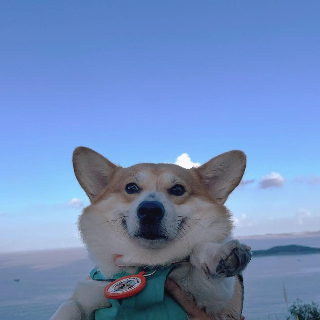 疯狂重庆游