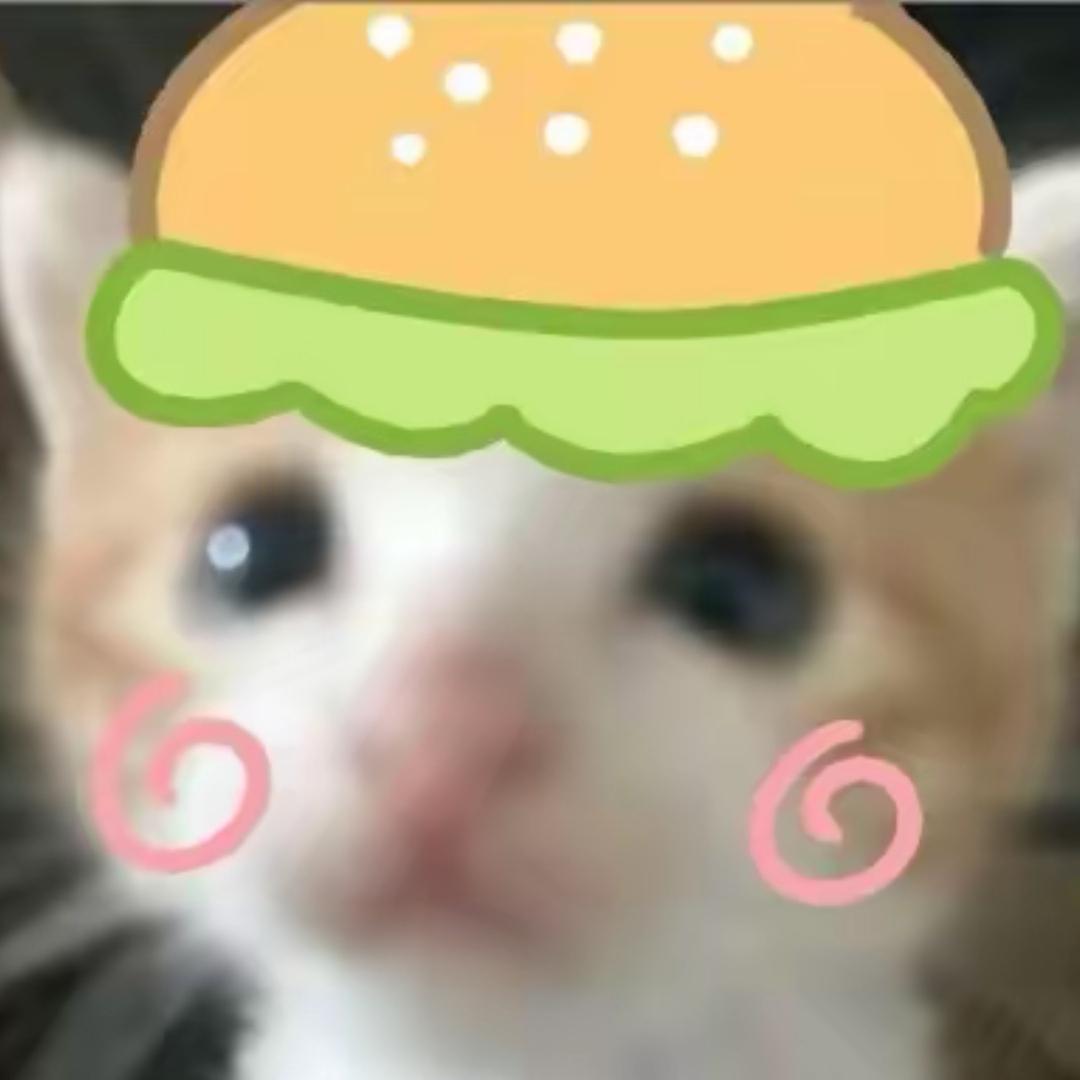 不吃汉堡🍔