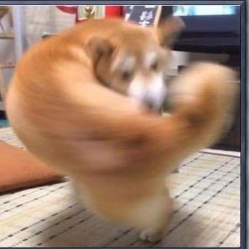 HL大爷