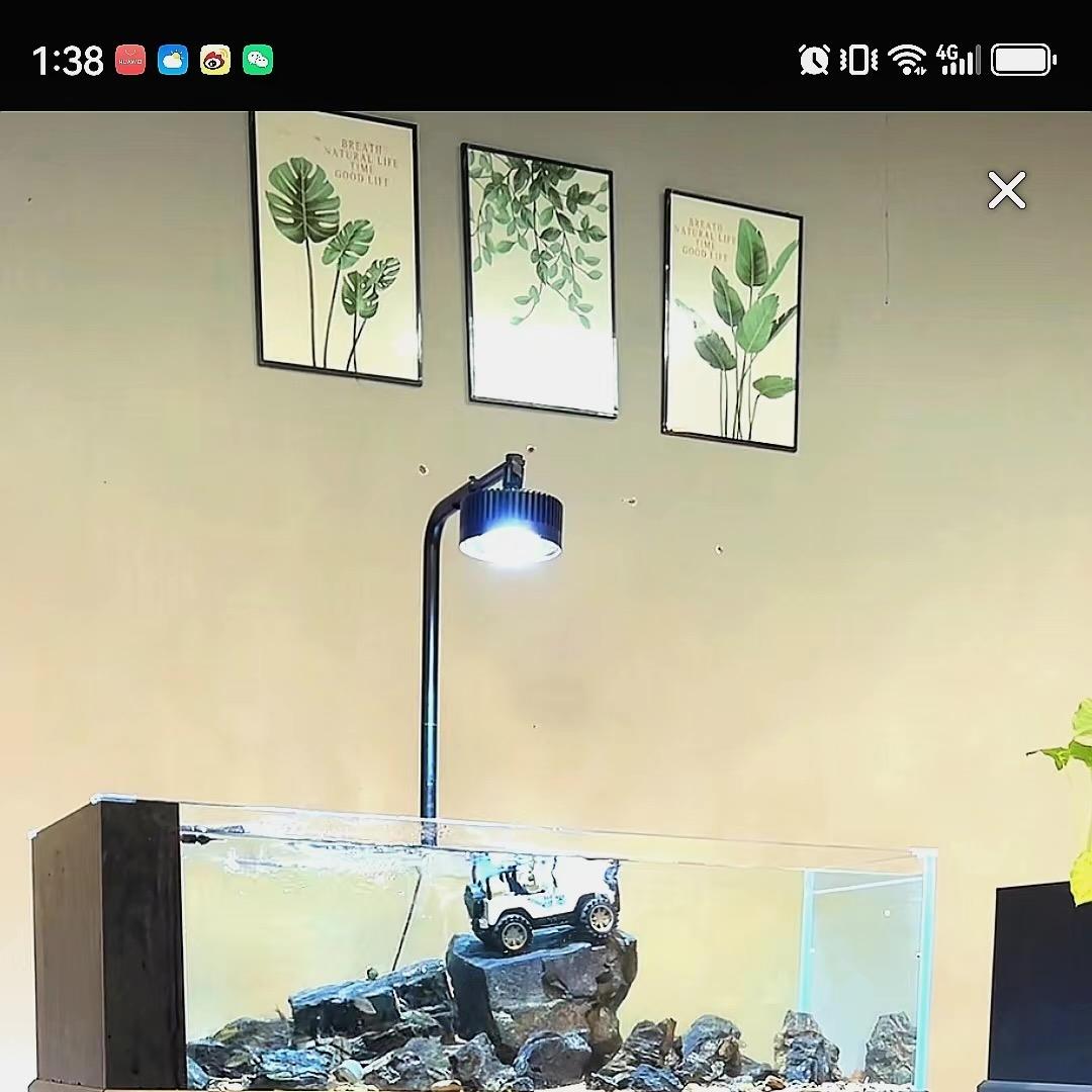 OBLONG扬州欧铂龙水族用品有限公司水族专卖店