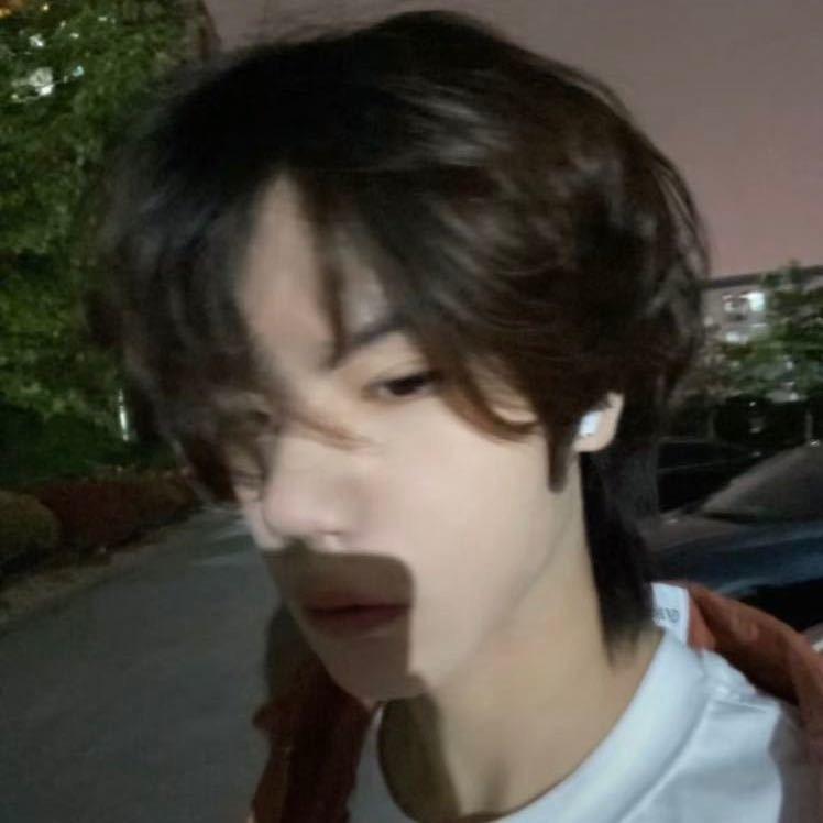 杨卑