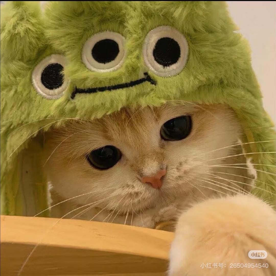 只猪