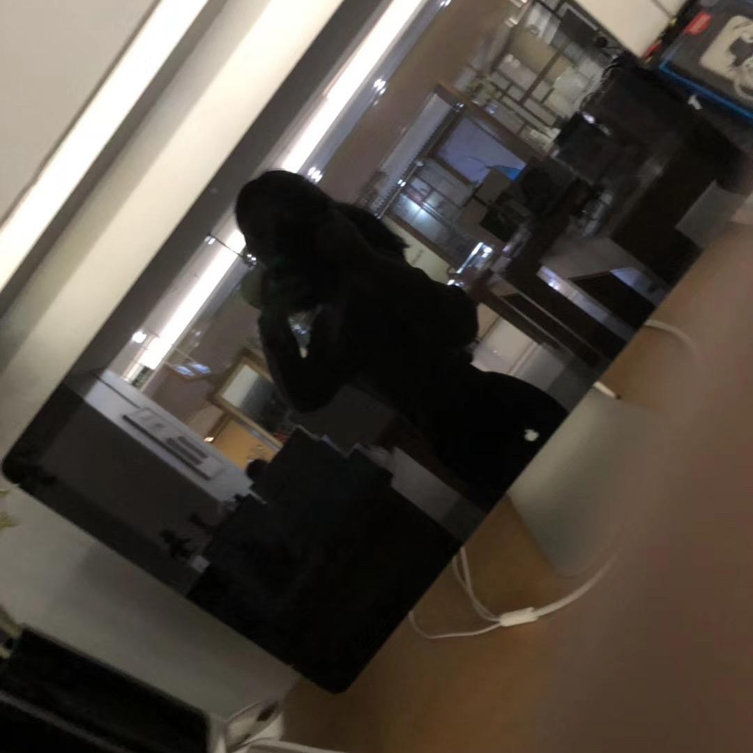 小悦 ʚ🐰ིྀɞ