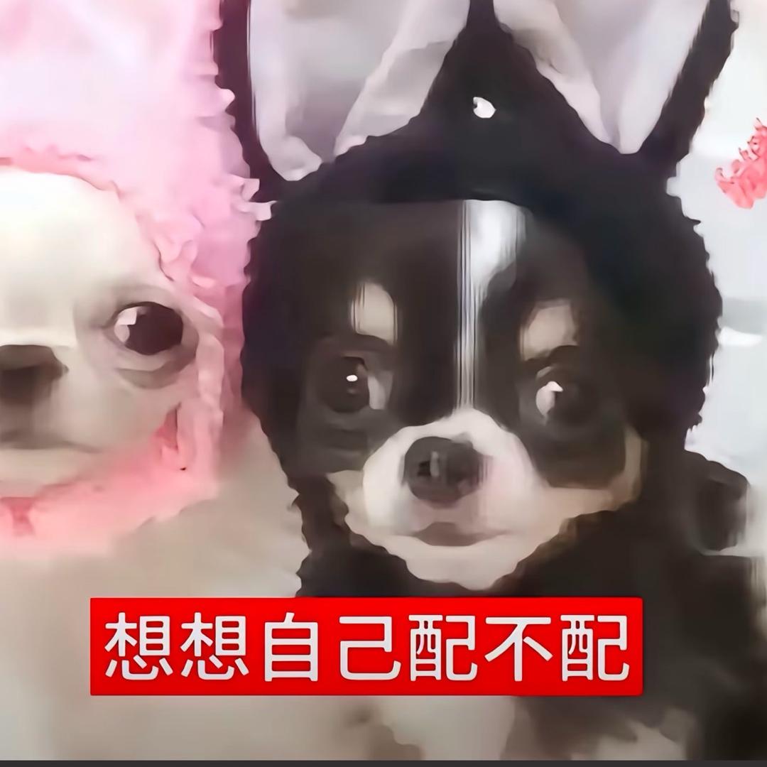 落无羡