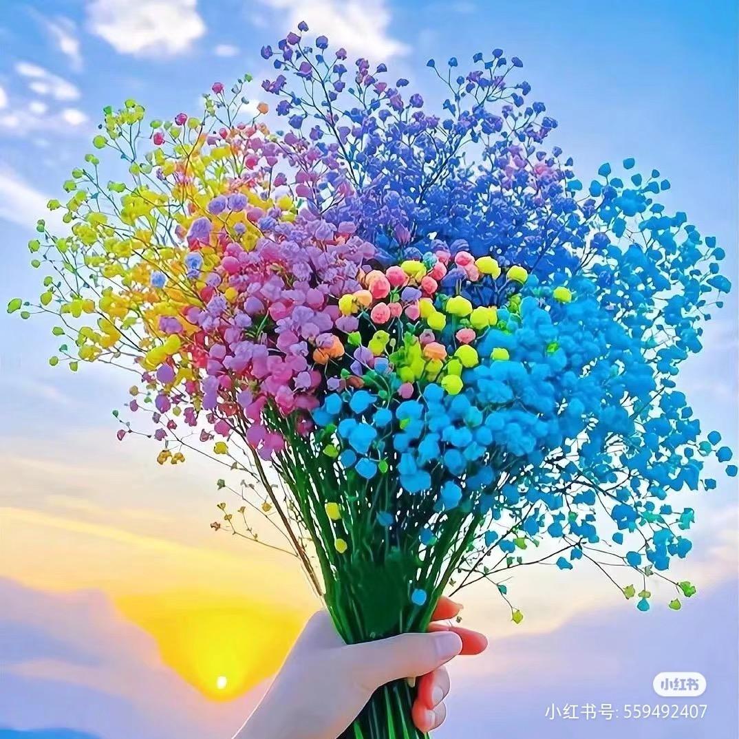 李珂星