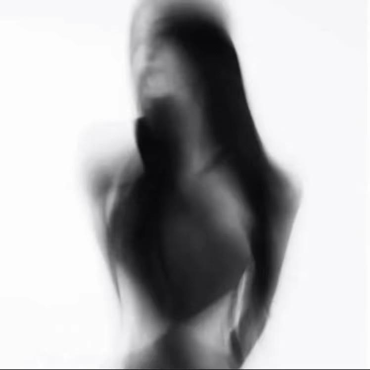 装