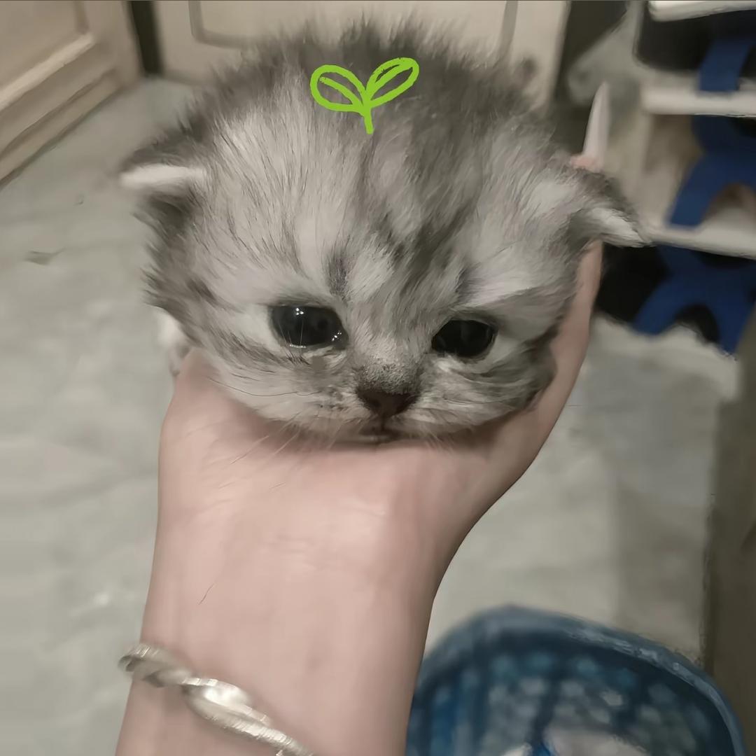 姐姐别这样