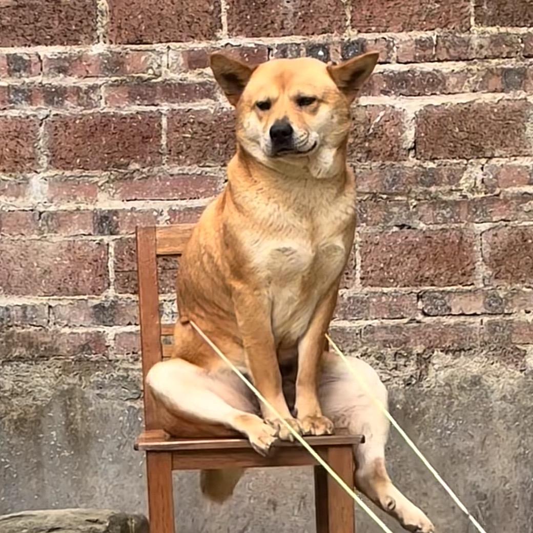牛大大