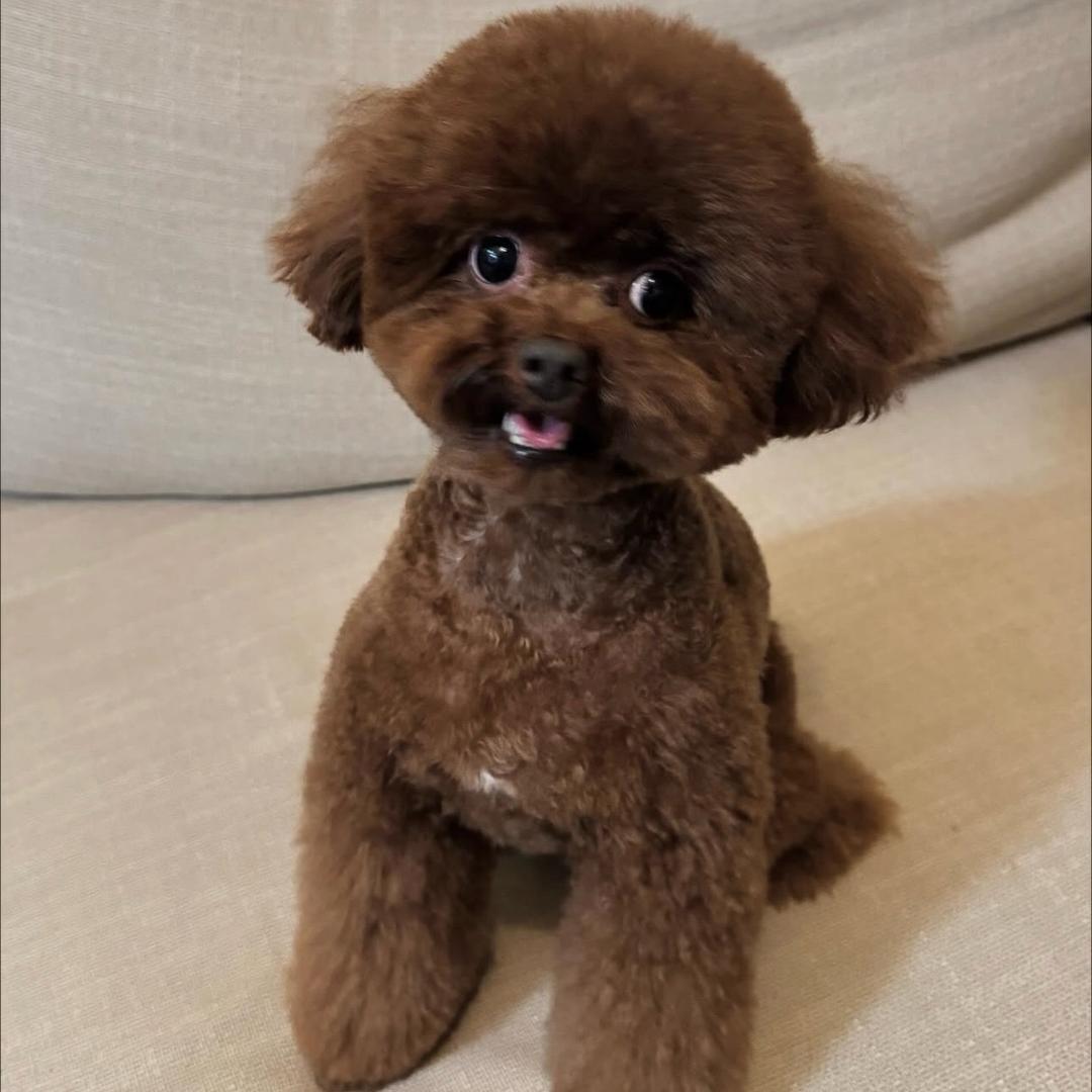 最💙Z Z老板娘🫰🫰