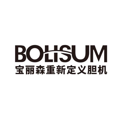 宝丽森音响