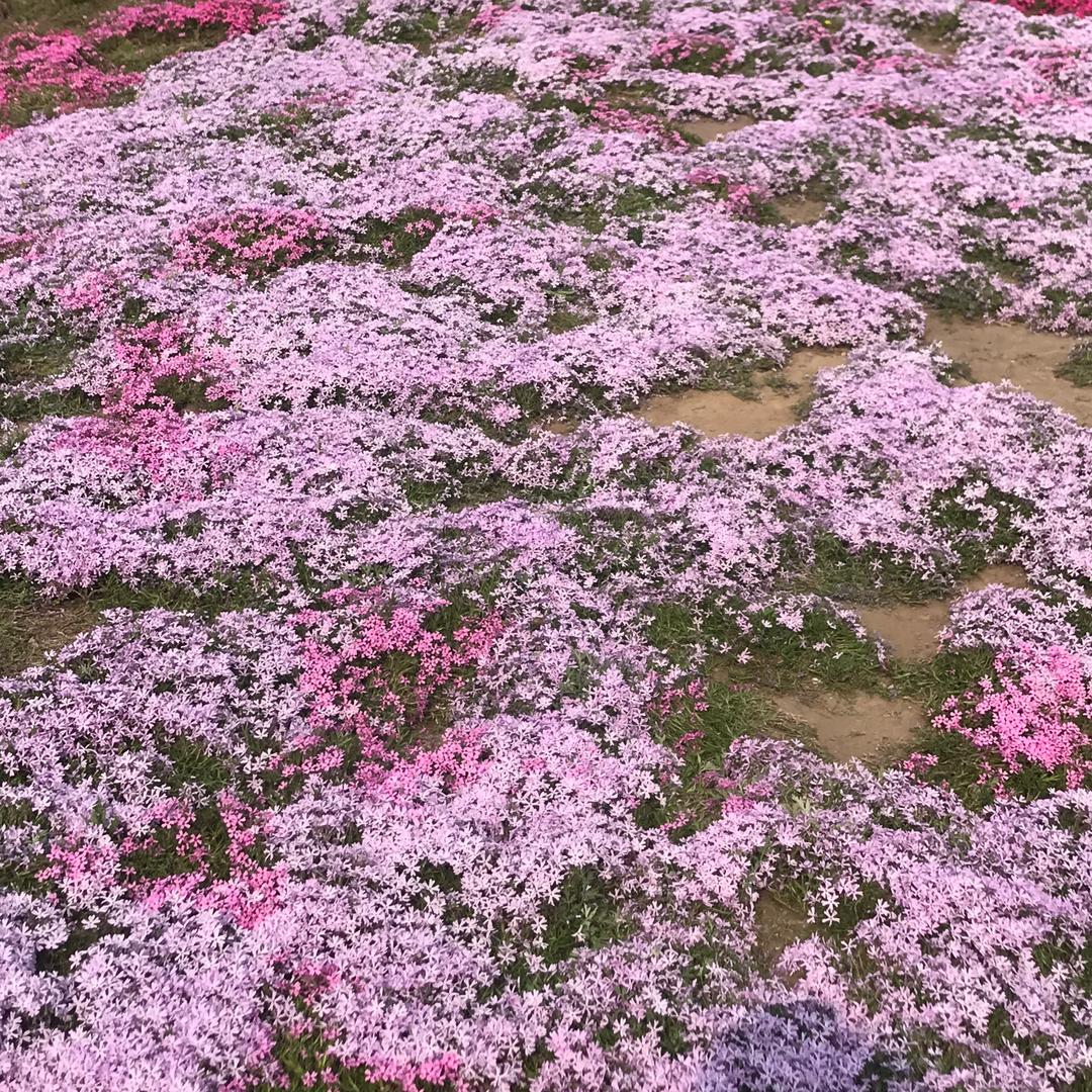 🈚️欲🈚️求