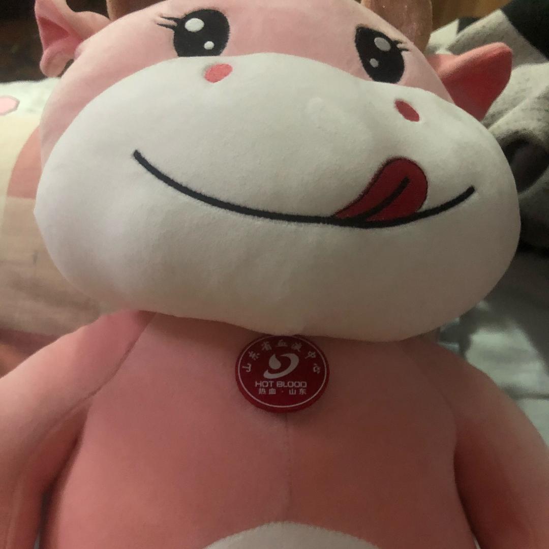 羊羊得益___城北羊肉情报局