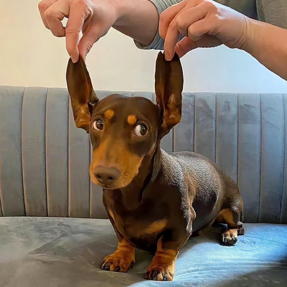 007牌怪味小胡豆